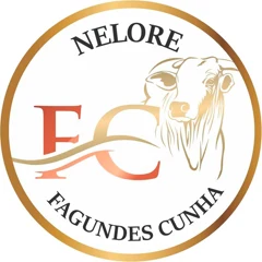 Nelore Fagundes Cunha